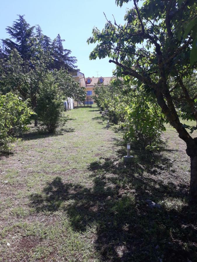 A Casa Di Fede Apartment L'Aquila Bagian luar foto